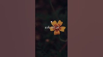 أرح قلبك 💚 #قرآن #عبدالرحمن_مسعد #اكسبلور #لايك #راحة_نفسية #قران_كريم #الله #دويتو #تلاوة_خاشعة