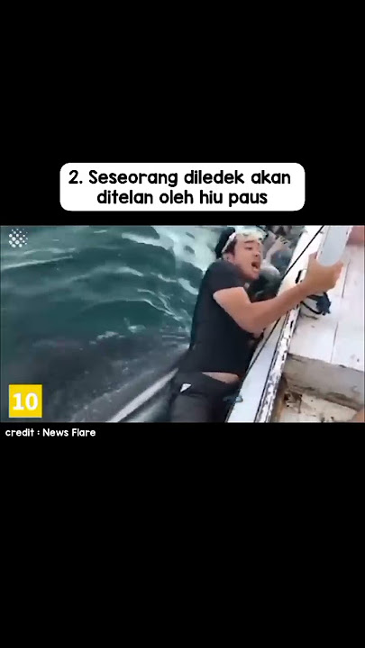 Momen-momen langka yang terekam kamera di laut!! No. Berapa Kesukaanmu?