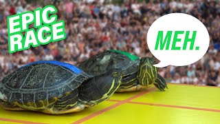 TURTLE VS TURTLE ULTIMATE RACE *dramatic ending* | Turtle Town Olympics | What Now?