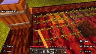 Minecraft cozy let's play part 2