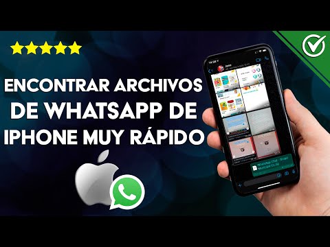 ¿Cómo encontrar tus archivos de WHATSAPP de iPhone rápidamente? - Localización