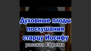 Духовные плоды послушания старцу Иосифу. Рассказ Ефрема Филофейского