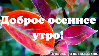 Доброе утро | Доброе осеннее утро