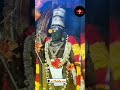 🙏 Murugan|WhatsApp status Tamil|God WhatsApp status|