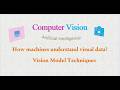 What are Vision Transformer Model techniques in Computer Vision in AI?