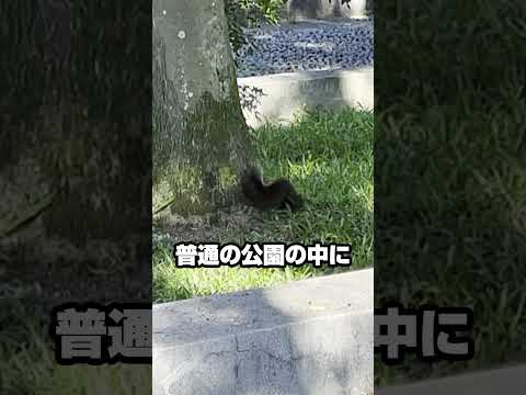 台湾あるある その2―同じ光景を見た人はコメントください【 台湾 あるある 旅行 】#shorts