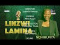 LINZWI LAMINA 24 02 2026