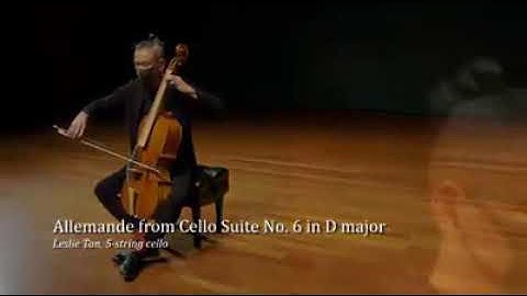 5 String Baroque Violoncello Piccolo made in Vienna 2012