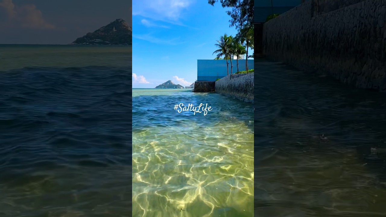 Was that a jellyfish? 8km shore walk, Hua Hin, do you like a good walk? Let’s go baby! 