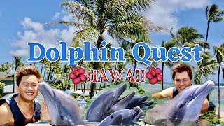 DOLPHIN QUEST ADVENTURE  l OAHU l HAWAII VACATION 2021 🌺 l KAHALA HOTEL&RESORT l Rey Watkins Journal Dolphin Quest Oahu At The Kahala Hotel Resort