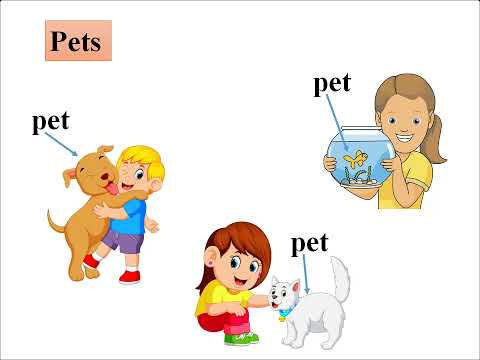 LTV_TIẾNG ANH 2_TUẦN 8_Culture 1 PETS IN THAILAND
