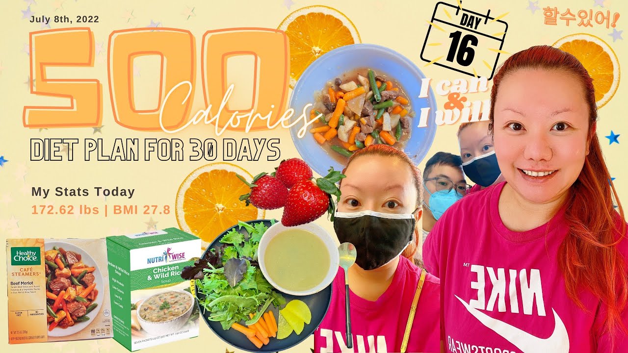 500 Calories Weight Loss Diet Plan - Day 16 