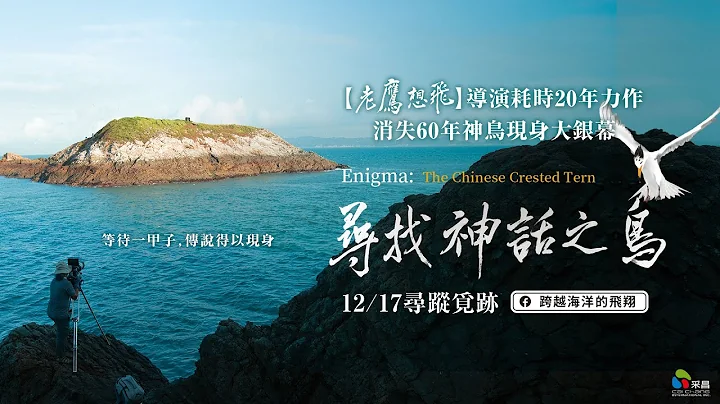 12/17【尋找神話之鳥】台灣官方正式預告︱【老鷹想飛】導演耗時20年動人力作，消失60年神話之鳥現身大銀幕！ - 天天要聞