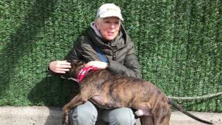 Oscar A1104593 nycacc org   IMG 0455