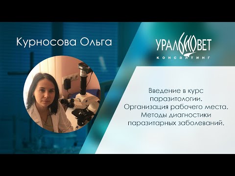 Введение в курс паразитологии. Организация рабочего места. Методы диагностики. Ольга Курносова