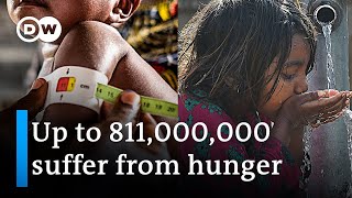 Is UN's goal of zero world hunger by 2030 moving out of reach? | DW News