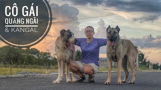 T1: Vào Quảng Ngãi tìm gặp Cô Gái sở hữu KANGAL - Chó Chọi Trung Á/ NhamTuatTV - Dog in Vietnam