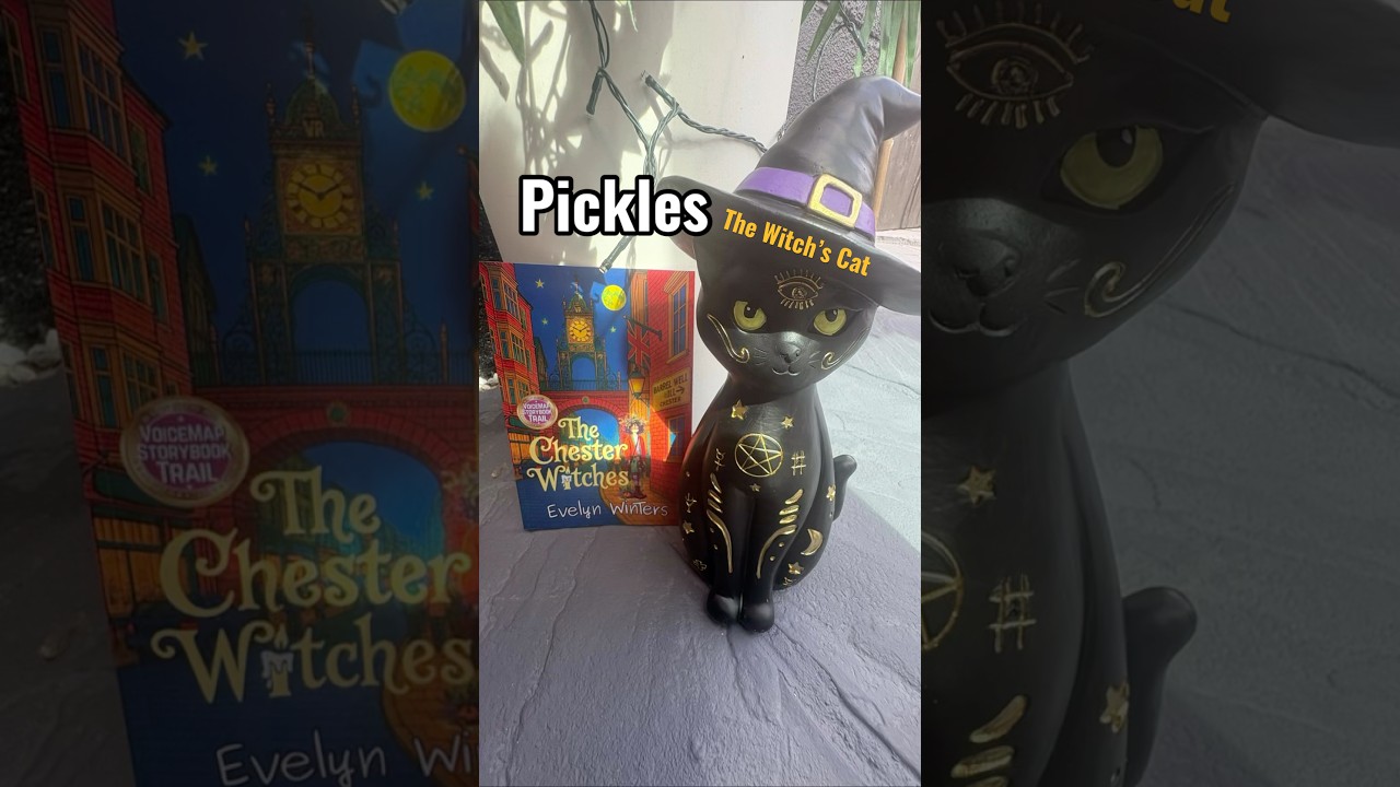 The Witch Cat #halloween