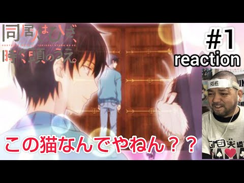 同居人はひざ、時々、頭の上。”にゃんコレver.” 1話 リアクション 【何で猫やのに!?気になるな〜！】My Roommate Is a Cat ep1 reaction 同時視聴 反応