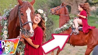 HILARIOUS Horse Photoshoot Fail!! ✨😮😂 HILARIOUS Horse Photoshoot Fail!! ✨😮😂