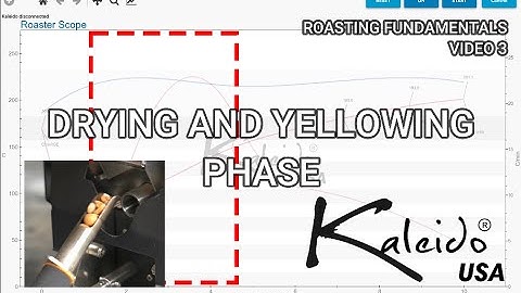 Roasting Fundamentals Series - Video 3 - Drying and Yellowing Phase
