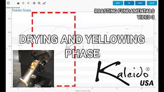 Roasting Fundamentals Series - Video 3 - Drying and Yellowing Phase