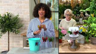 Barbara King Set of 4 Multi-Colored Butterfly Pot Hangers on QVC