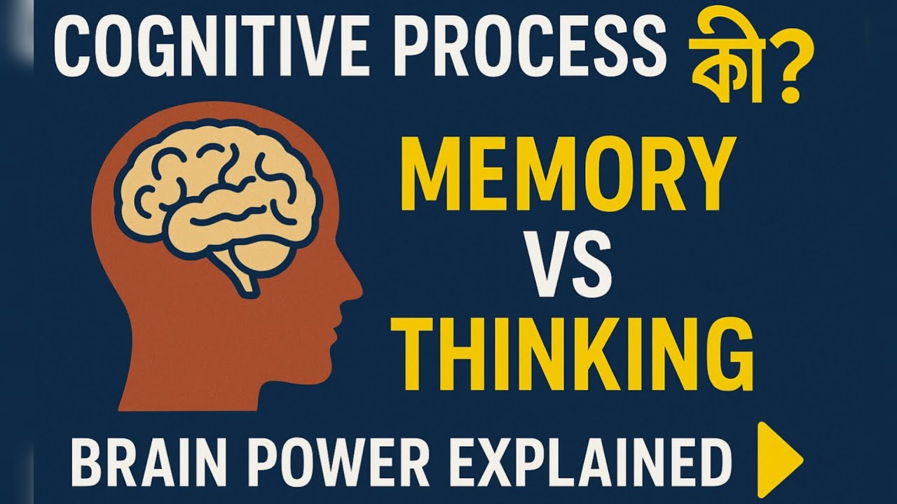 Cognitive Process কী? | Memory & Thinking মানুষের মস্তিষ্কের দুটি ...