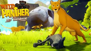 Wild Panther Animal Simulator - Android Gameplay screenshot 4