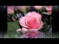 باسم الكربلائي انشوده حنانيك ياربي