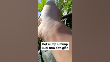 đọt mướp + mướp non: buổi trưa đơn giản #vegetables