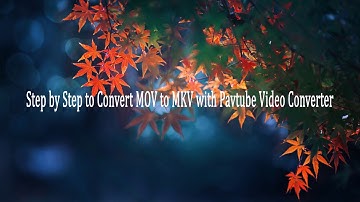 Convert MOV to MKV