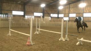 2013. Április 2. Gina 1828