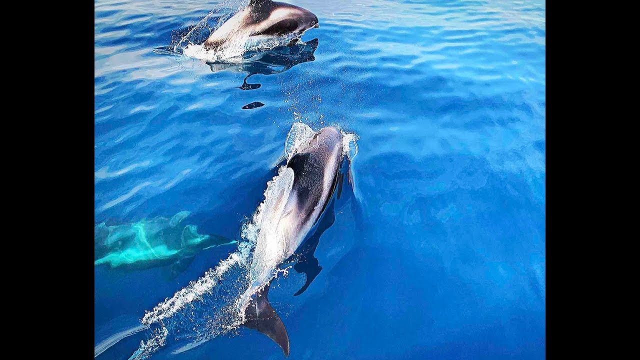 Sailing double handed over the North Sea. Inverness - Bergen. 330 nm.