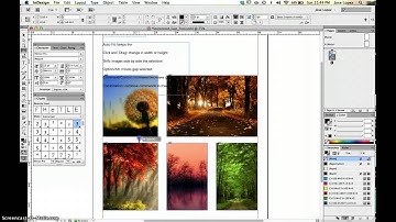 Adobe InDesign Gap Tool Tutorial