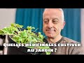 Que planter au jardin  choix des plantes mdicinales