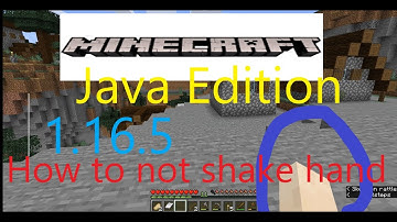 Minecraft Java Edition 1.16.5 .How to not shake hands in minecraft while your playing.
