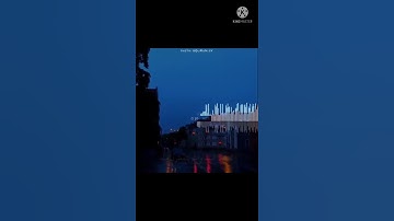 وقالو اتخاذ الرحمن ولدا للقارئ بلال العاروري