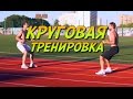 КРУГОВАЯ ТРЕНИРОВКА от ОФП ПРО