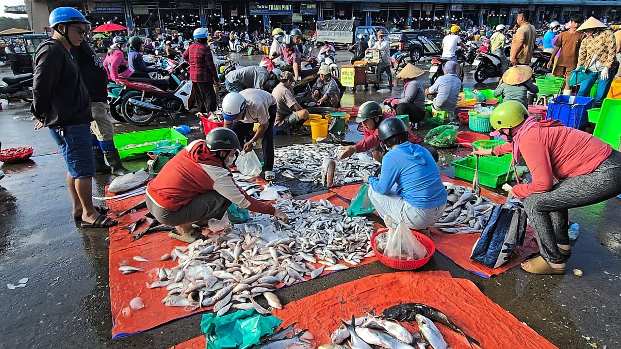 Chợ bình điền hải sản đổ đống
