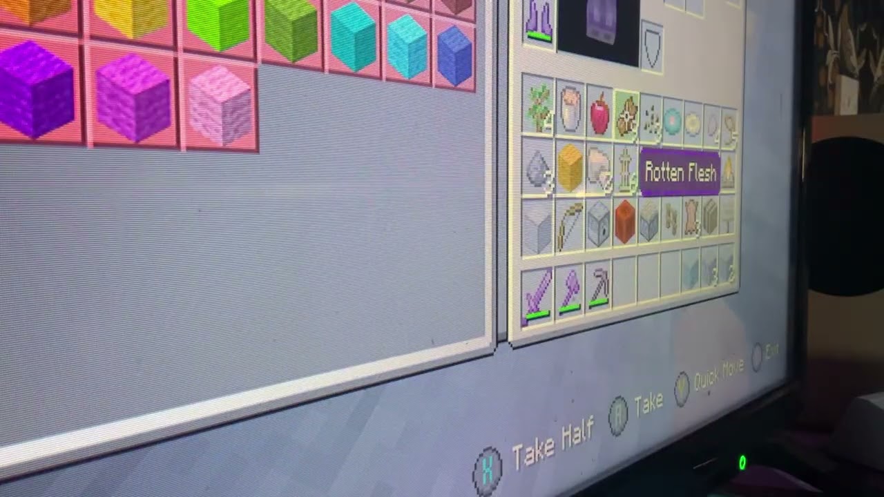 Show my Minecraft world 