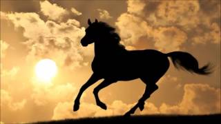 Watch Al Stewart Ghostly Horses Of The Plain video
