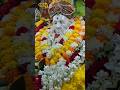 🙏ಶ್ರೀಕ್ಷೇತ್ರ ಹುಬ್ಬಳ್ಳಿ – ಶ್ರೀ ಸಿದ್ಧಾರೂಢ ಅಜ್ಜ 🙏ಸಿದ್ಧಾರೂಢ ಅಜ್ಜನ ದರ್ಶನ ಭಾಗ್ಯ 🌼✨🙏ಅಜ್ಜ 🙏 Hubli volgs