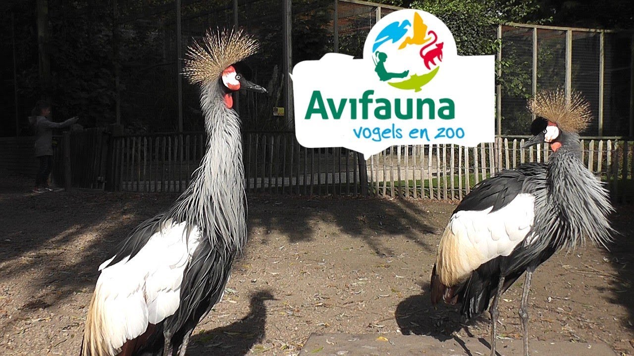 HOLLAND Avifauna Bird Park Alphen aan