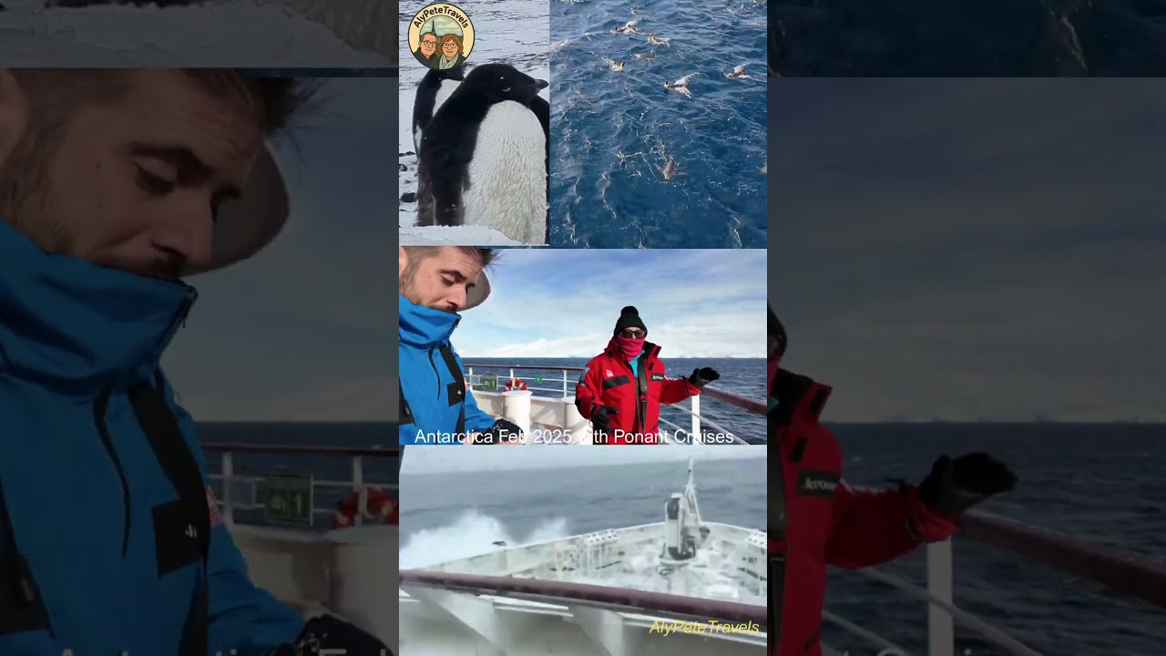 Ponant Expedition Cruise. Antarctica Feb 2025 from New Zealand.