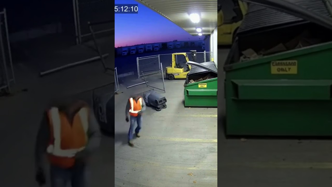 Deer Crashes Into Warehouse Loading Bay Chaos 