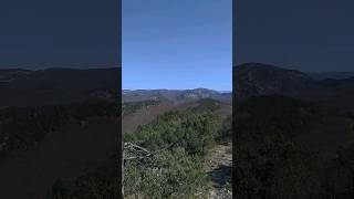 КРАСОТЕНЬ #лес #прогулка #природа #shorts #nature #wald #berge #schönheit #short #youtubeshorts