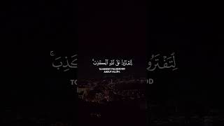 Surah An-Nahl | verses 116. Rezitator | Maher Al-Muaiqly