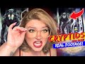 5 CRYPTIDS &amp; More That Are 100% NIGHTMARE Fueled! |*Extremely CREEPY Footage*