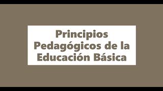 Principios Pedagógicos de la Educación Básica | Lic. Sergio Bello Vázquez Principios Pedagógicos de la Educación Básica | Lic. Sergio Bello Vázquez